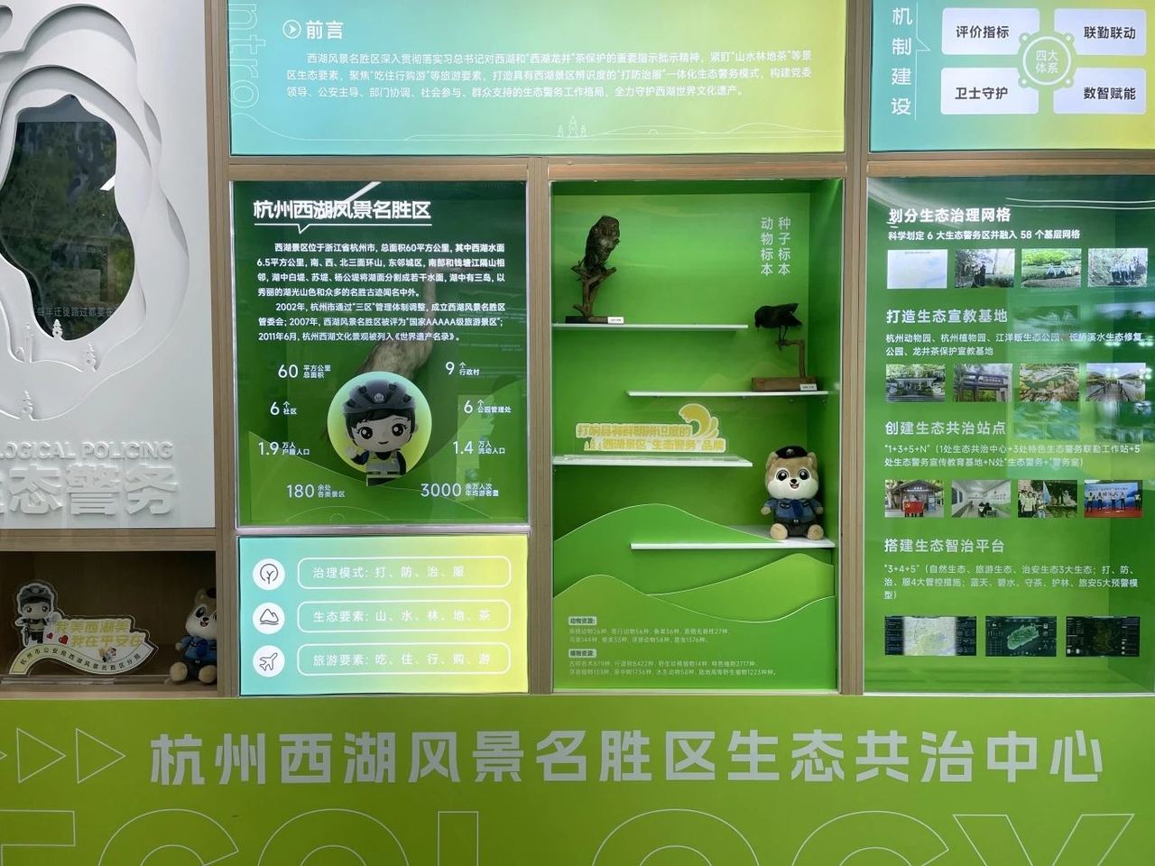 共護(hù)西湖美，守好一片葉